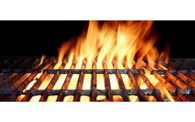Dual Fuel BBQs