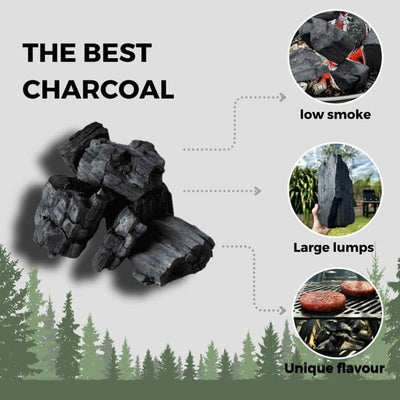 END OF SEASON SALE: Globaltic Birch Lumpwood Charcoal. 20% off! Now £23.99