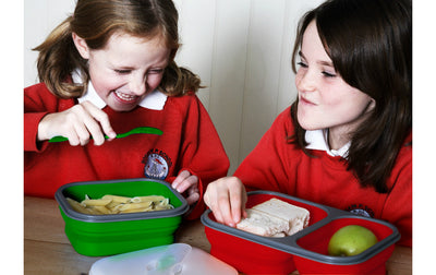 Pack Away Collapsible Lunch Boxes - Choice of Size and Colours - Gardenbox